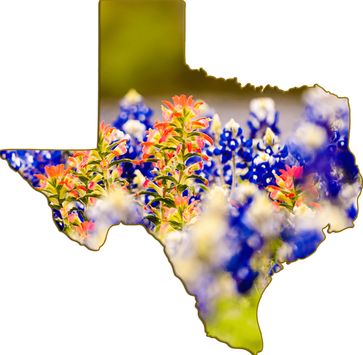 Wimberley Puzzle Company Bluebonnets and Indian Paintbrush | Texas Sha ...