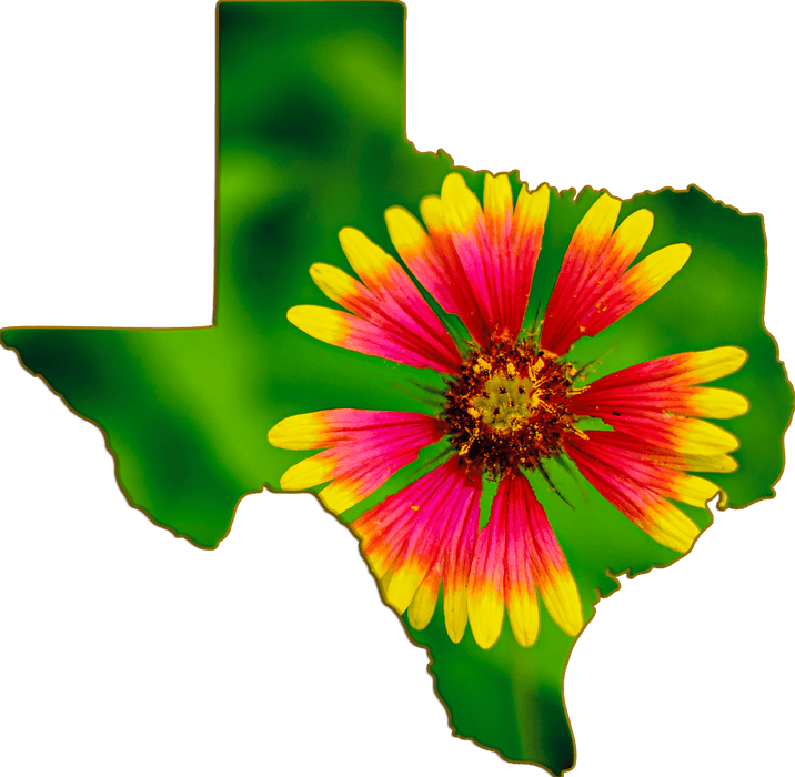 Wimberley Puzzle Company Firewheel, Texas Wildflower | Texas-Shaped Magnet