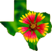 Wimberley Puzzle Company Firewheel, Texas Wildflower | Texas-Shaped Magnet